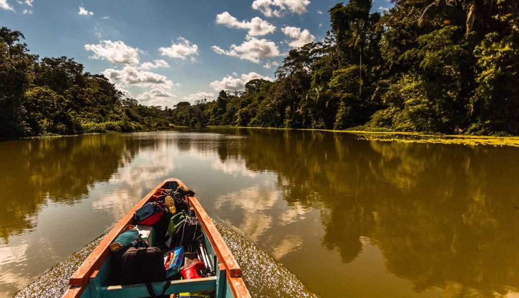 Miért barna az Amazonas folyó? Minden, amit tudni kell
